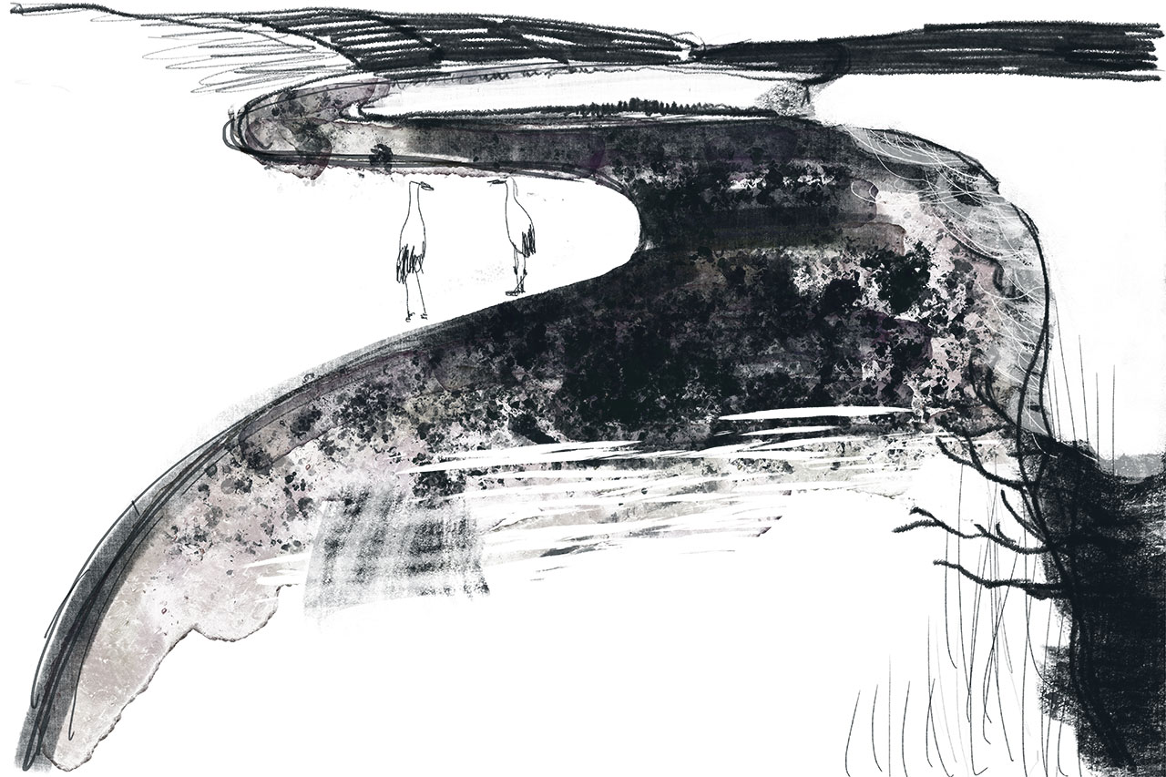 Two red cranes at Otowabashi Bridge